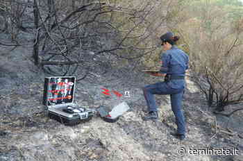 Pulisce il prato di casa con il fuoco ed incendia 4 ettari di bosco: denunciata 80enne - Terni in rete
