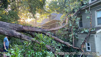 Storm Causes Tree To Crash Into Back Of Home In Edgewood