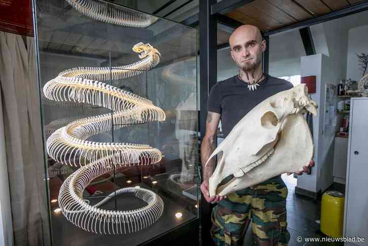 BEESTJES EN BAASJES. Osteologist Lander: “Met mijn eigen kat zou ik het toch niet zo snel doen”