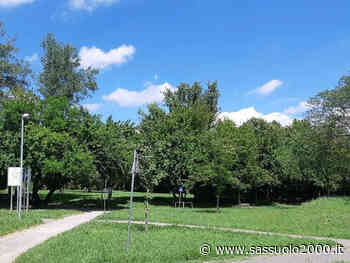 Una palestra a cielo aperto al parco della Repubblica di Modena - sassuolo2000.it - SASSUOLO NOTIZIE - SASSUOLO 2000