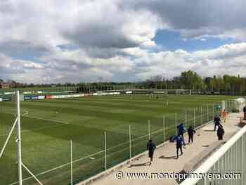 Torneo di Vignola, annullata Modena-Parma: i crociati passano il turno - Mondoprimavera