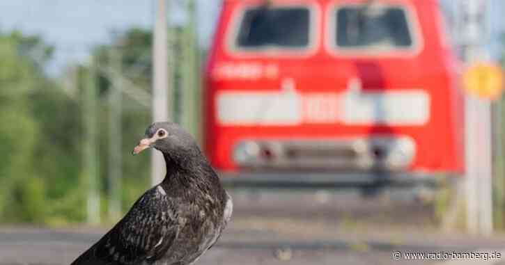 Lokführer beenden erste Streikwelle