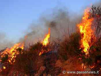 SAN PRISCO / SANTA MARIA CAPUA VETERE / CASERTA / CAPUA – INCENDI SUL MONTE TIFATA, CONTINUA INCESSANTE IL LAVORO DEI VIGILI DEL FUOCO - Paesenews