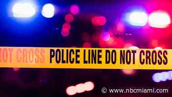 Toddler Fatally Shot Woman Who Was on Video Call for Work, Fla. Police Say