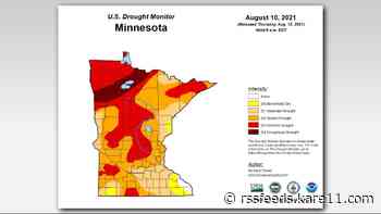 New drought numbers show 42% of Minnesota under extreme dry conditions