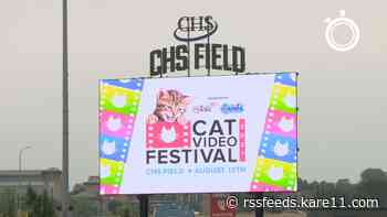 MEOW! CHS Field hosts 2021 Cat Video Festival