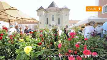 Gartenmesse "Diga" in Wiblingen soll wieder Tausende Gäste locken