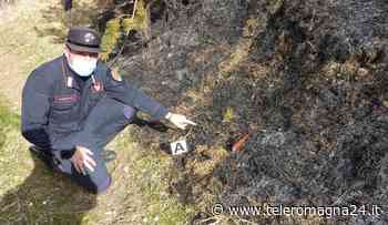 FORLI'-CESENA: Individuati i responsabili di vari incendi boschivi dello scorso fine settimana | FOTO - Teleromagna24