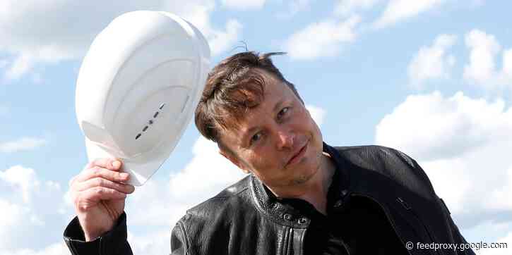 Elon Musk was slammed by victims of East Germany's former Communist dictatorship for accepting a $9.5 million Tesla subsidy from the fallen regime's trust fund
