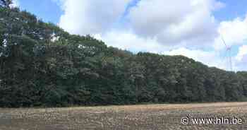 Beplantings- en inrichtingswerken in koppelingsgebied Rieme-Noord starten eind augustus - Het Laatste Nieuws