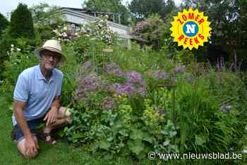 Verpleger op rust Marc (67) ontwerpt in bijberoep tuinen en schrijft er ook boeken over: “Ik wil mijn kennis n - Het Nieuwsblad