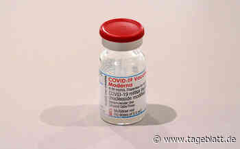 Deutschland verzichtet auf Moderna-Lieferungen - Landkreis Stade - Tageblatt-online