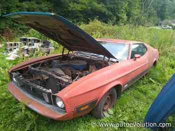 1973 Ford Mustang Parked Outside a Forest Is So Original You'll Ignore the Blue Hood - autoevolution