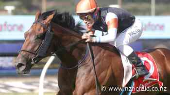 Racing: Trainer Tony Pike torn over Sherwood Forest dilemma - New Zealand Herald