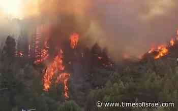 Forest fire near Kiryat Shmona forces home evacuations - The Times of Israel