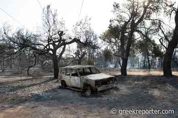 Why The Risk of Floods Increases Exponentially After Forest Fires - Greek Reporter