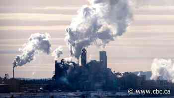 Members of N.S. forest industry form lobby group to reopen Northern Pulp mill - CBC.ca