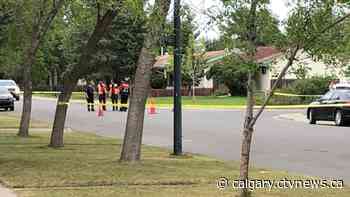 Cyclist in life-threatening condition after hit-and-run in Forest Heights - CTV Toronto