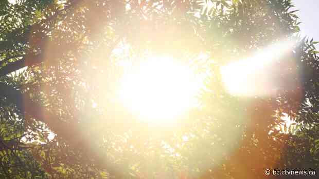 More than a dozen weather records broken in B.C. in latest heat wave