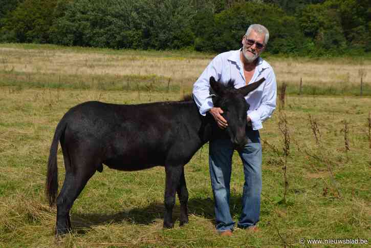 Asiel maand na overstromingen: “Fier dat we al onze dieren konden redden”