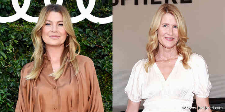 Ellen Pompeo, Laura Dern, & More Step Out for the Audi Design Loft Event in Malibu