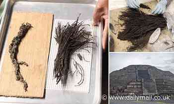Bouquets of flowers left as offerings to the gods 1800 years ago found under  Teotihuacan pyramid