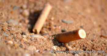 Frontignan - Cendr'Héro est un petit héros qui sensibilise sur l'impact des mégots sur la biodiversité - OCCITANIE tribune