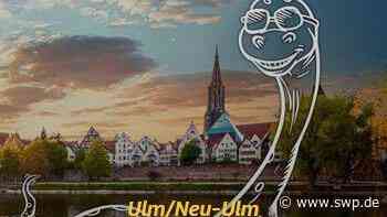 Stadtmarketing in Ulm und Neu-Ulm: Ein Donau-Ungeheuer als Köder - SWP