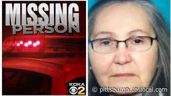 Plum Police Locate Missing 62-Year-Old Woman Theresa Nuber