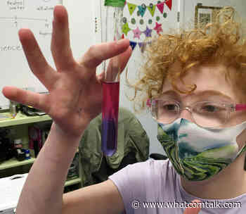 New Bellingham Elementary School Launches, Blending Arts With Sciences - whatcomtalk.com