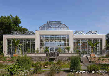 Palmen und Riesenseerosen - Gewächshäuser in Gießen von Haas Architekten - BauNetz.de