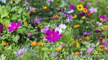 Nürnberg kommt Starnberg bei Landesgartenschau 2030 in die Quere - Kreisbote