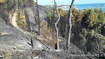 Incendi in Abruzzo, gli ambientalisti chiedono il fermo caccia "per salvaguardare fauna già stressata” | ekuonews.it - ekuonews.it