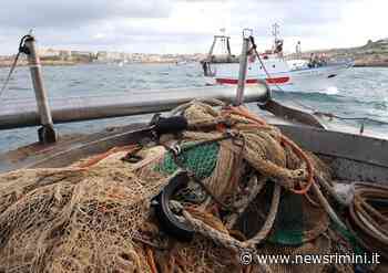 Fermo pesca. Cevoli (lavoratori del mare): ambientalisti rovina del settore • newsrimini.it - News Rimini