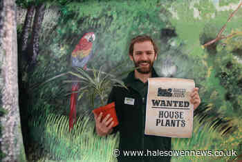 Dudley Zoo and Castle issues appeal for potted houseplants - Halesowen News