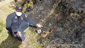 Individuati i responsabili degli incendi di Sogliano, Civitella, Meldola e Bertinoro - Corriere Romagna