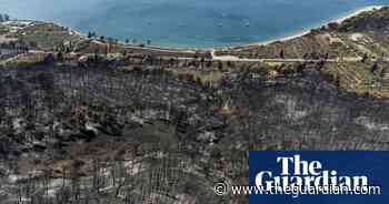 Drone footage shows aftermath of Evia wildfires in Greece – video