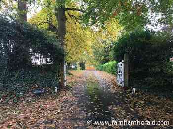 Tensions fray as Red Court refused - Farnham Herald