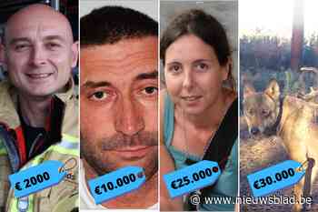 Waarom beloning voor gouden tip slechts zelden tot doorbraak leidt - Het Nieuwsblad