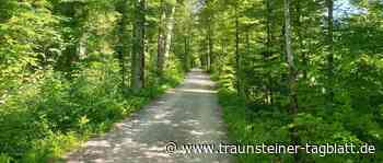 Sustainable AG vollendet in den nächsten Wochen Klimaschutzkonzept für Traunstein - Traunsteiner Tagblatt