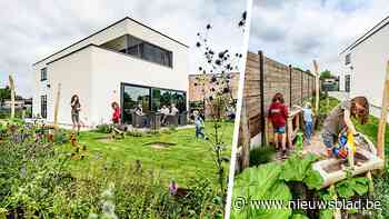 Een kindvriendelijke tuin die mag en kan meegroeien: Marjan en Wannes kozen voor een volledig op (kinder)maat gemaakte tuin