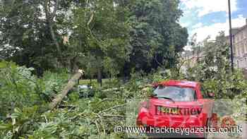 Gore Road hit as Victoria Park tree branches fall - Hackney Gazette