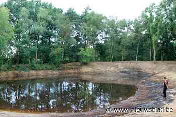Amfibieën krijgen poel naast waterzuivering
