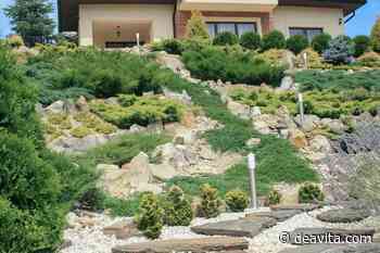 Garten am Hang mit Steinen gestalten: Diese Pflanzen sind ideal! - DEAVITA