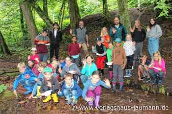 Steinen: Pfifferlinge für die Nudelsoße - Steinen - www.verlagshaus-jaumann.de