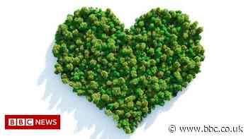 Climate change: How to be more eco-friendly in everyday life