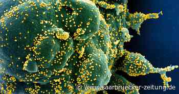 Elf neue Corona-Infektionen im Landkreis Neunkirchen - Saarbrücker Zeitung