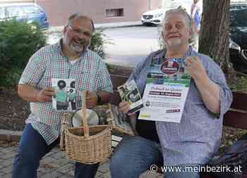 Gloggnitz: Picknicken im Garten der Renner-Villa - meinbezirk.at