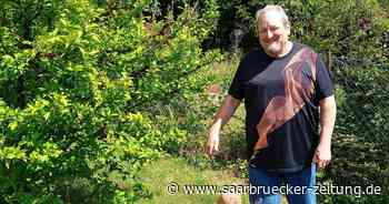 Saarländischer Selbsthilfetag am 4. September in Neunkirchen - Saarbrücker Zeitung