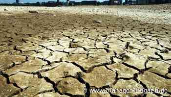 Klimawandel und Hitze: Wärmster Juli weltweit seit mehr als 140 Jahren